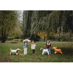 Álló fólia lufi bulldog, 75x57 cm, mix