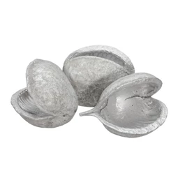 Badam termés S/8