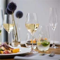 Boros pohár CELEBRATION 360 ml 8x22,5 cm S/6