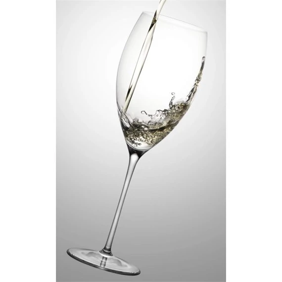 Boros pohár GRACE 580 ml 8,9x26,5 cm S/2