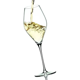 Boros pohár SWAN 430 ml 8,4x25,6 cm S/6