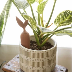 Csepegtető szobanövényhez 3,5x25 cm