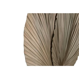 Dekoráció pálmalevél 33x1x90 cm