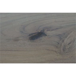 Ebédlőasztal 200x100x80 cm