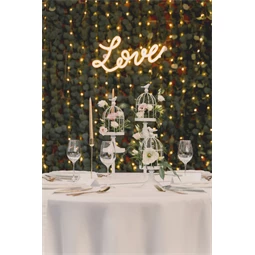 Girland eukaliptusz LED 2 m