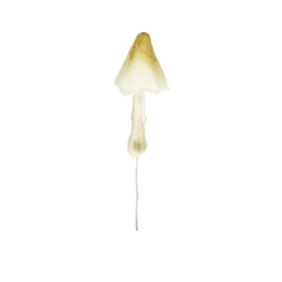 Gomba betűzős 4x7 cm S/12