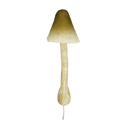 Gomba betűzős 5x18 cm S/6