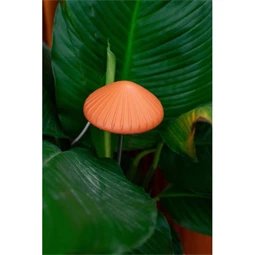 Gomba formájú palántanövesztő lámpa LED-es 72 cm