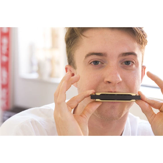 Harmonika készítő szett