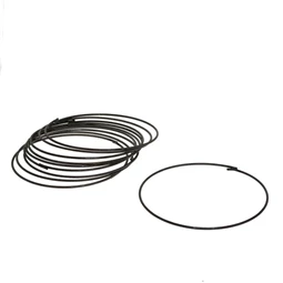 Karika 55 cm, 1,58 kg S/10