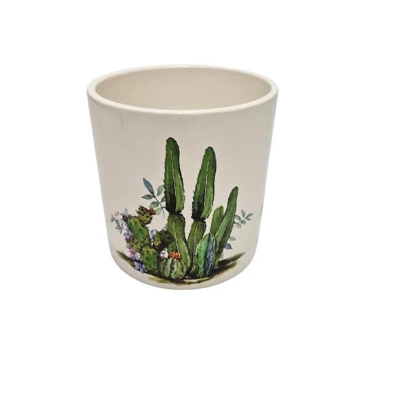 Kaspó kaktusz mintával 13,2x13,8 cm