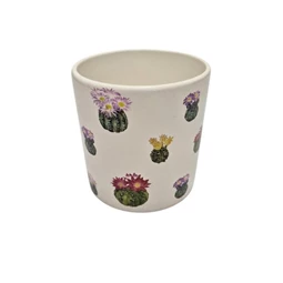 Kaspó kaktusz mintával 13,2x13,8 cm