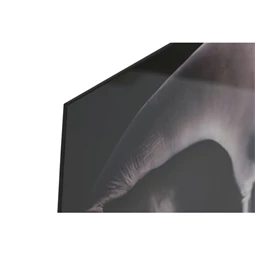 Kép edzett üveg, elefántok 150x0,4x100 cm