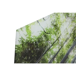 Kép edzett üveg, erdő 150x0,4x100 cm