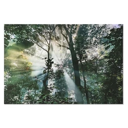 Kép edzett üveg, erdő 150x0,4x100 cm