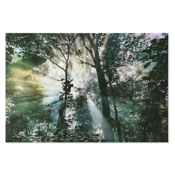 Kép edzett üveg, erdő 150x0,4x100 cm