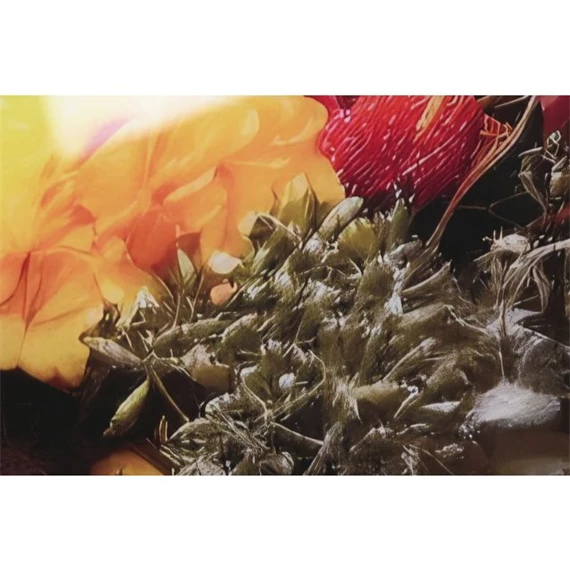 Kép edzett üveg, nő 120x0,4x120 cm