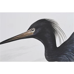 Kép gém, keretes 63x4x93 cm 2 féle