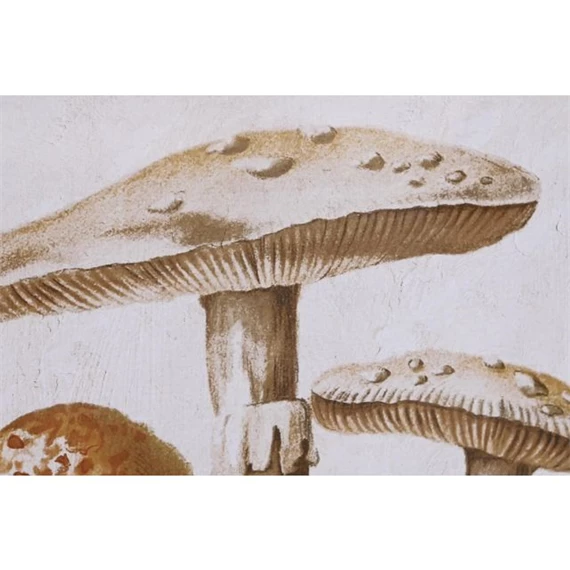 Kép gombák 50x2,8x70 cm 2 féle