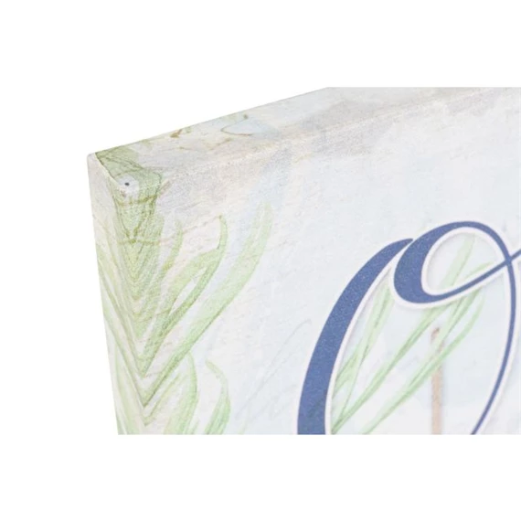 Kép kagylók 40x2x40 cm 4 féle