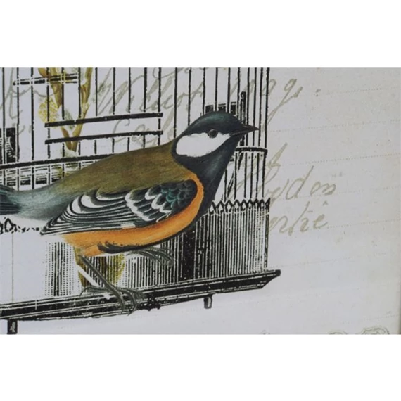 Kép kalitka 34x2x44 cm 4 féle