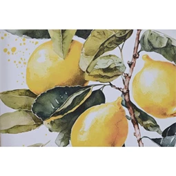 Kép keretes, citrom 30x1,8x40 cm 2 féle