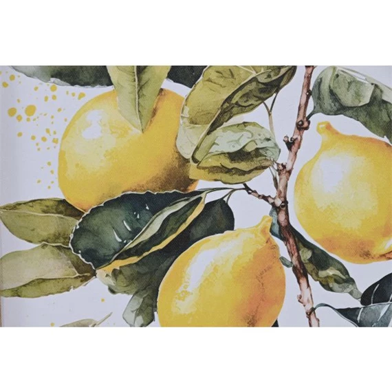 Kép keretes, citrom 30x1,8x40 cm 2 féle