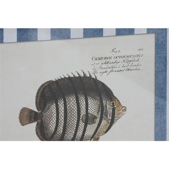 Kép keretes, halak 40x2,5x55 cm 4 féle