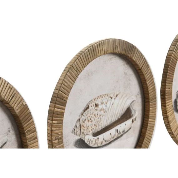 Kép keretes, kagyló 30x2x30 cm 9 féle