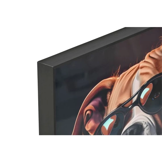 Kép keretes, kutya 50x3,5x50 cm 2 féle