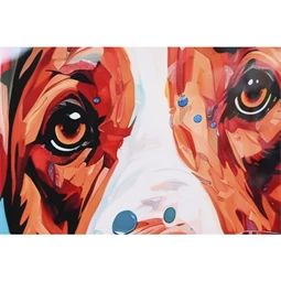 Kép keretes, kutya, macska 80x3,5x80 cm 2 féle