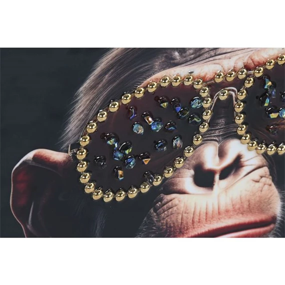 Kép majmos 52,5x3x72,5 cm 2 féle