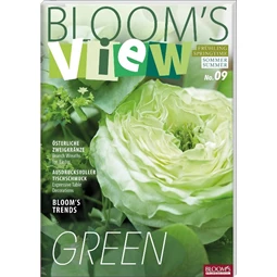 Bloom's View Könyv 2019 Január