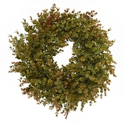 Koszorú eukaliptusz 30 cm