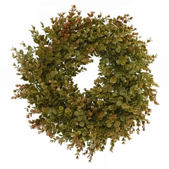 Koszorú eukaliptusz 30 cm