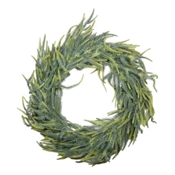 Koszorú fenyő 50 cm