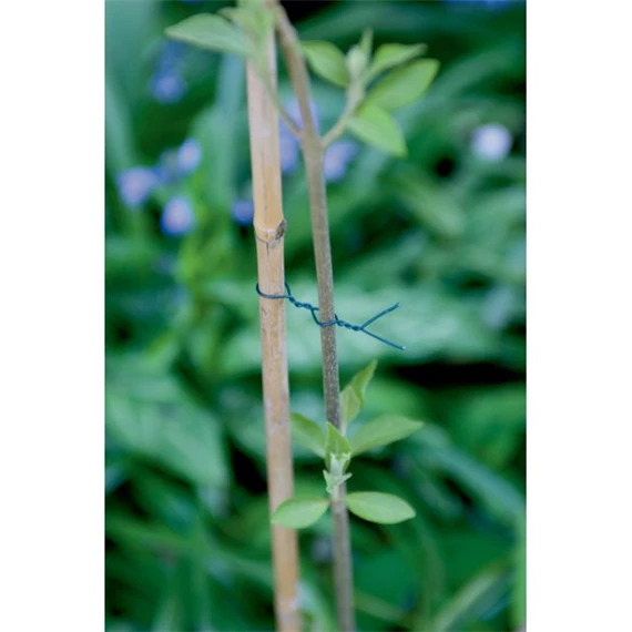 Kötöző növényekhez, műanyaggal bevont drót 25 m