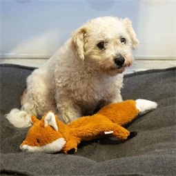 Kutyajáték, repülő plüss róka