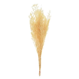 Limonium csokor szárított 74 cm