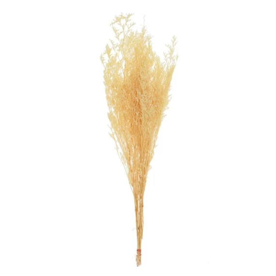 Limonium csokor szárított 74 cm