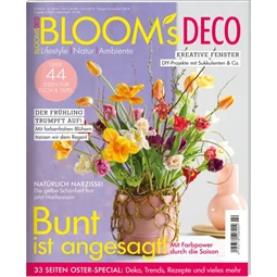 Bloom's Deco Magazin 2023 Március/Április