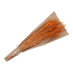 Mezei komócsin szárazvirág