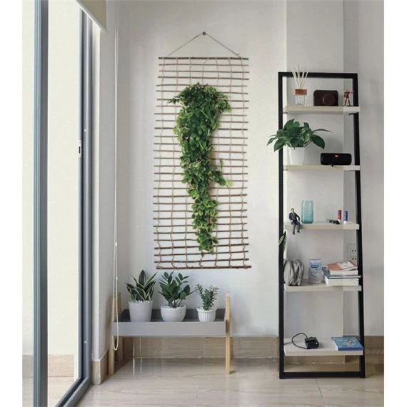 Növényfutattó falra akasztható 50 cm x 2 m