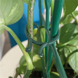 Növénykapocs 16x25 mm x 2 cm S/40