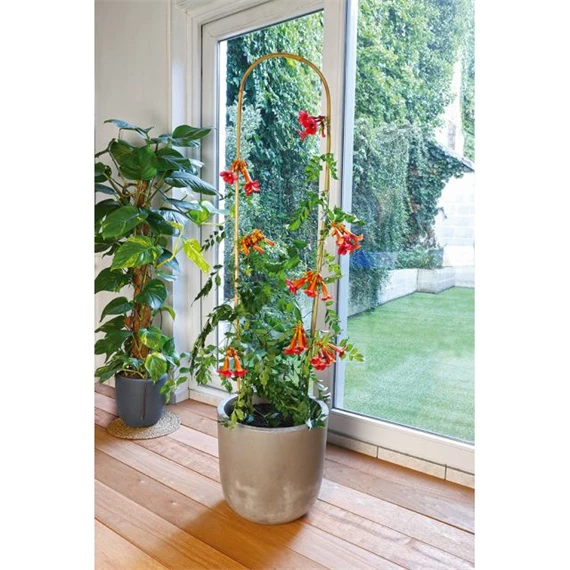 Növénytámasz ívelt 200 cm S/3