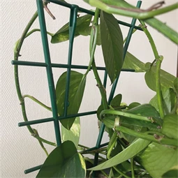 Növénytámasz 37x8 cm