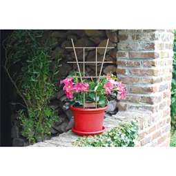 Növénytámasz 50x80 cm