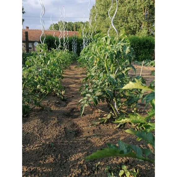 Növénytámasz paradicsomhoz, spirál alakú 0,7 cm x 1,8 m