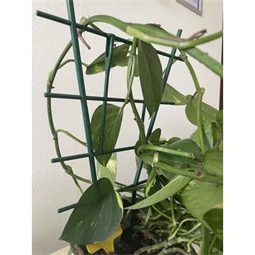 Növénytámasz viráglétra 37 cm