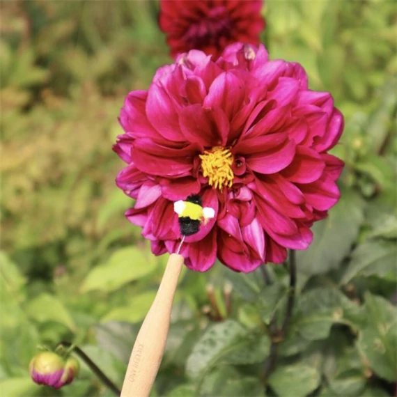 Pálcák növények beporzásához 1,2x16 cm